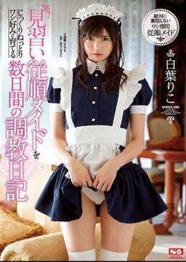 Mosaic SSNI-749 A Training Diary For Several Days To Grow An Apprentice Obedient Maid Slowly And Carefully To A Eagle Taste Riko Shiba