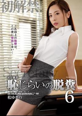 English Sub JBD-254 President's Secretary Shameful Defecation 6 Yukino Matsu