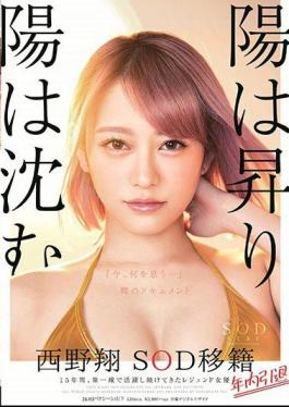 English Sub STARS-113 The Sun Rises And The Sun Sinks Sho Sho Nishino Resigned Within The Year Retirement Within The Year 15 Years, Legendary Actress Who Has Been Active On The Front Line "What Do You Think Now ..." Naked Document