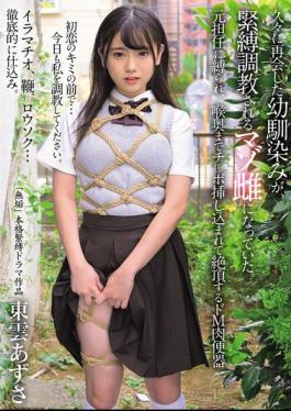 Mosaic MUDR-315 When I Met My Childhood Friend Again After A Long Time, She Had Become A Masochistic Woman Who Was Being Tied Up And Trained. A Former Teacher Ties Her Up And Inserts A Dick Deep Into Her Throat, Making Her Climax As A Masochistic Human Toilet. Azusa Shinonome