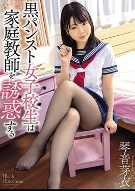 Mosaic AYB-020 Black Pantyhose School Girls Seduce Tutor Mei Kotone